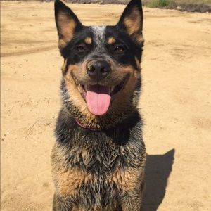 Meet your Posher, Alejandro